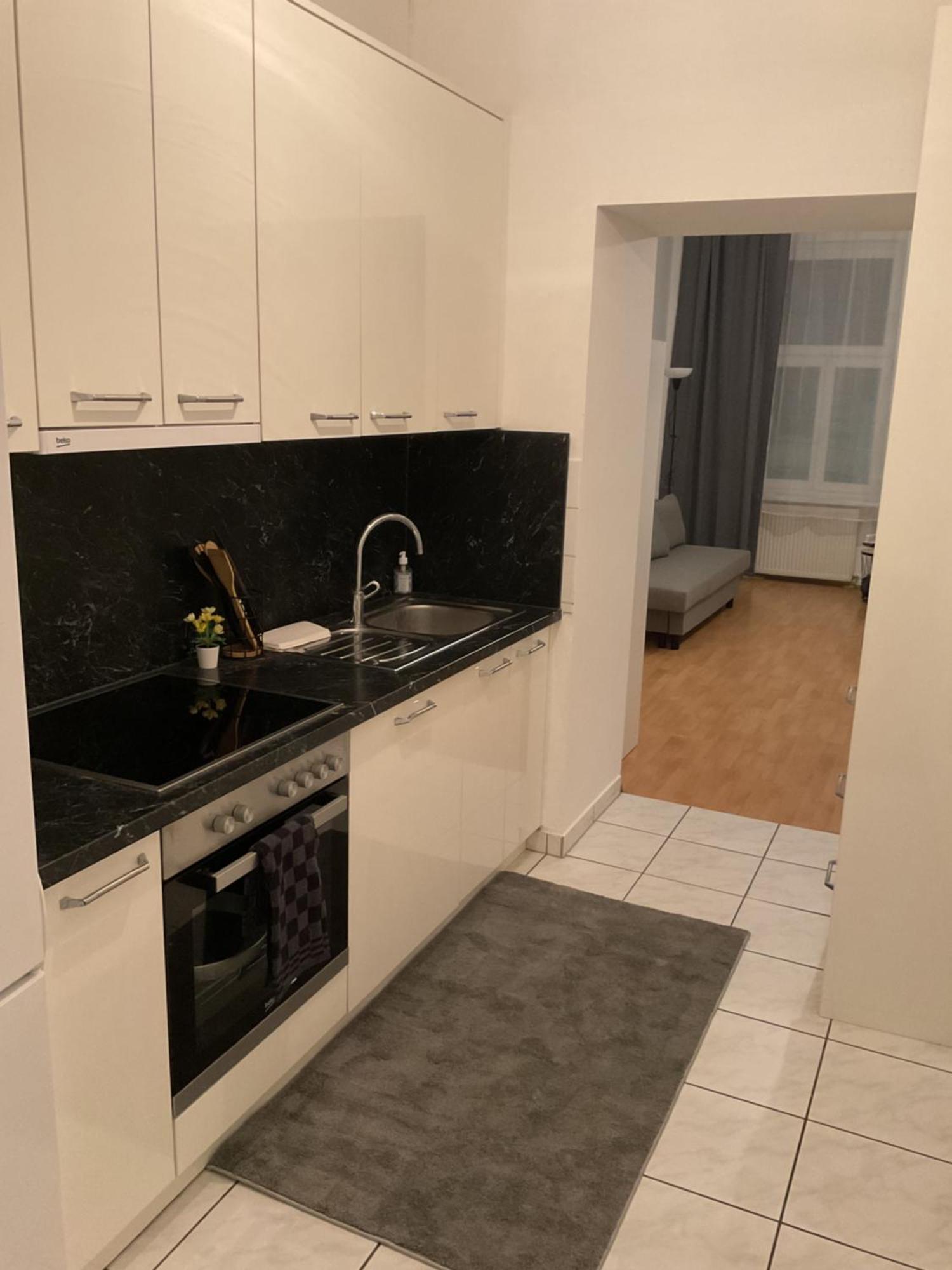 Palace Apartment 维也纳 外观 照片